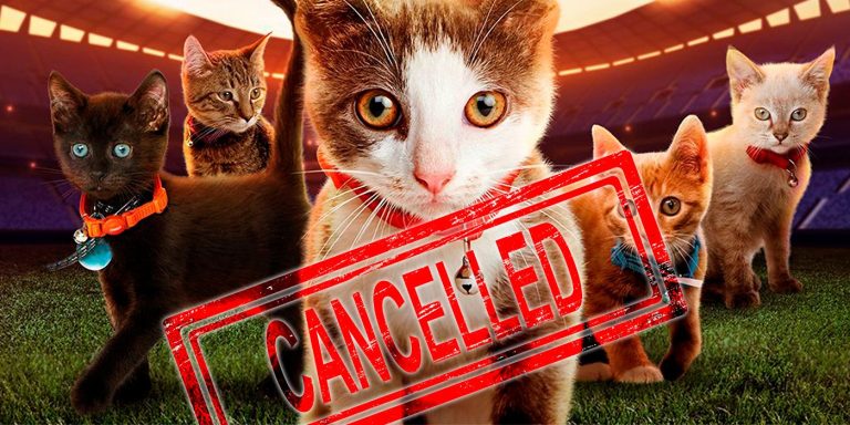 Kitten Bowl Canceled by Hallmark Channel, Gets New Platform