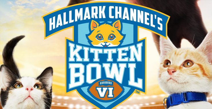 hallmark kitten bowl 2021